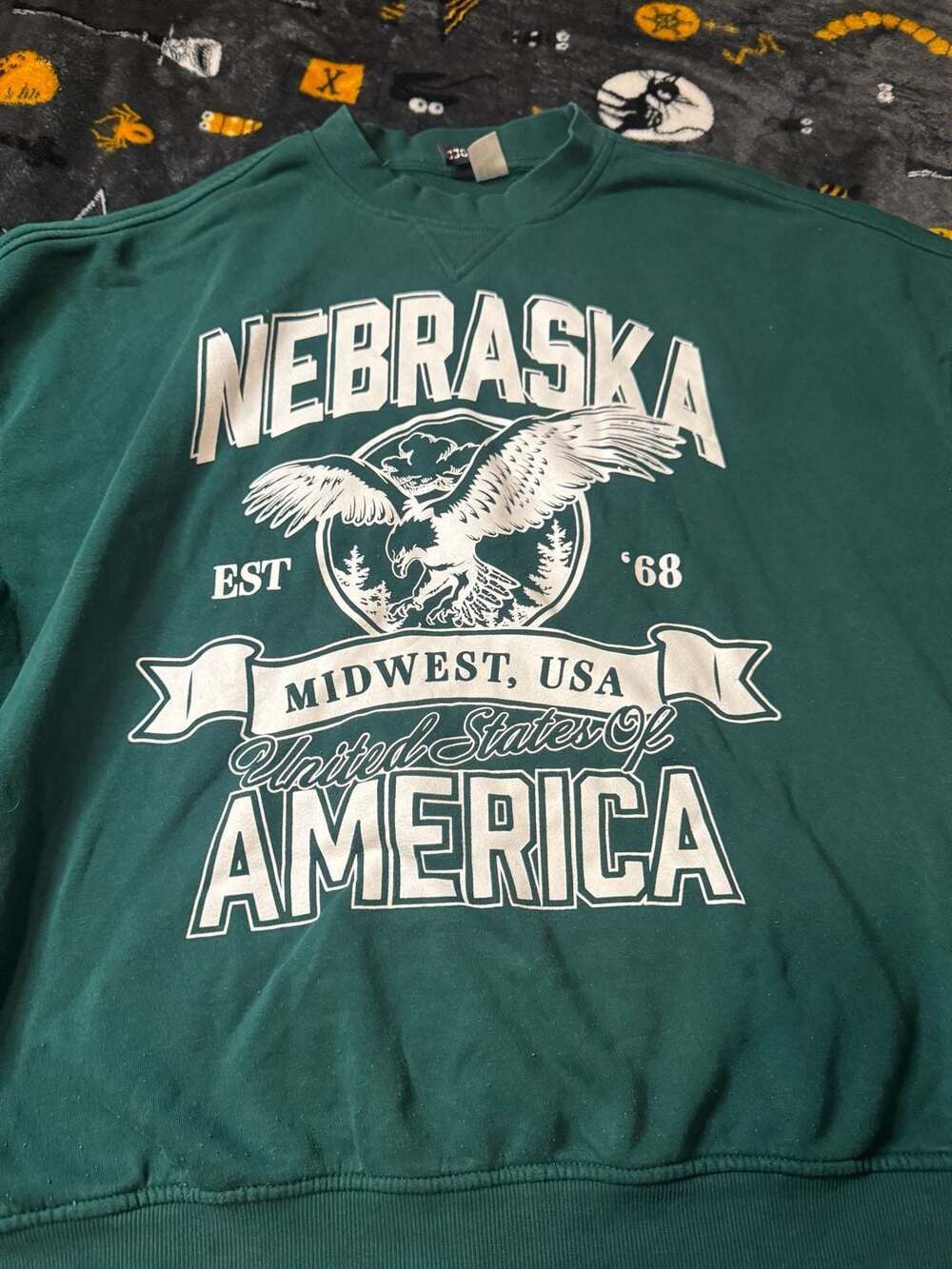 Divided by H&M Green Nebraska Midwest USA Eagle Graphic Sweatshirt Medium
